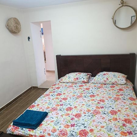 Red Sea Garden Apartment 엘라트 외부 사진